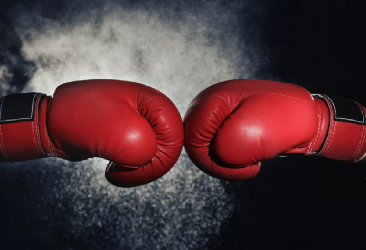 иллюстративное