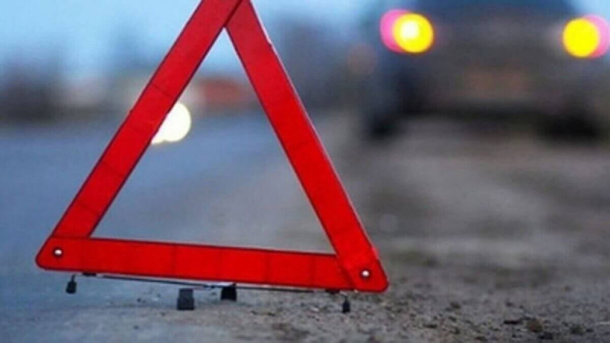 Три человека погибли в ДТП с лошадью в Туркестанской области