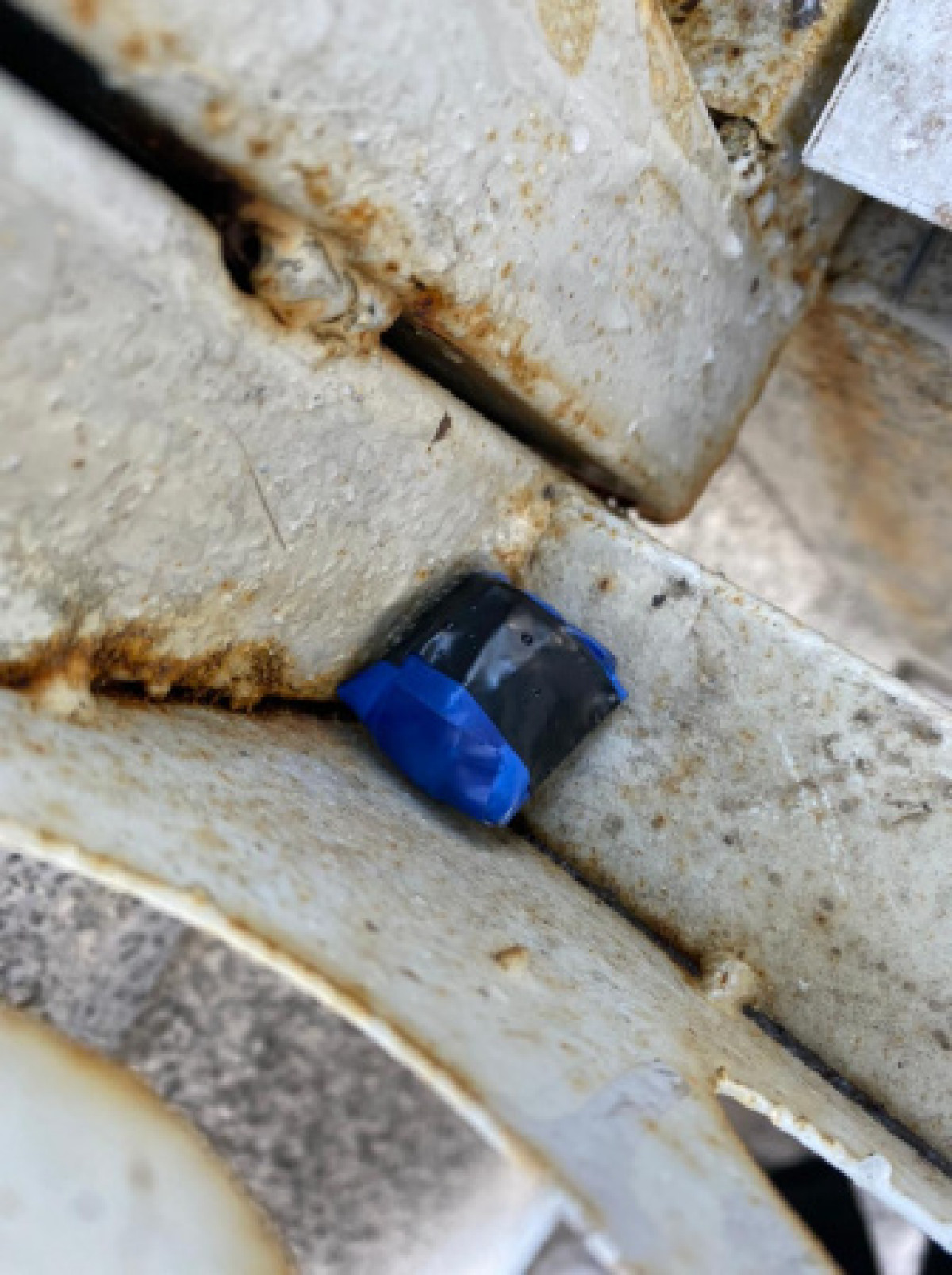 фото очевидцев