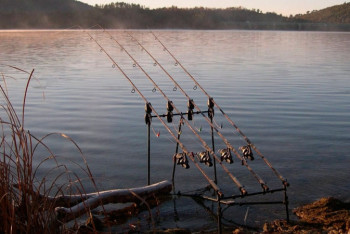 Фотография к новости: Где запрещена рыбалка на период нереста, рассказали в Минэкологии