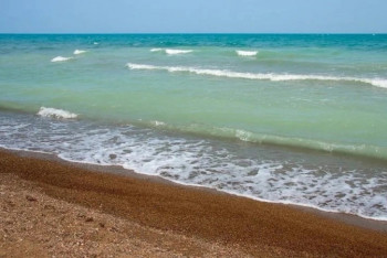 Фотография к новости: Грозит ли озеру Балхаш судьба Арала, ответил замминистра экологии