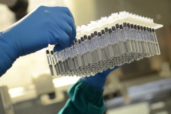 Фотография к новости: Завод по производству казахстанской вакцины откроют в конце 2021 года