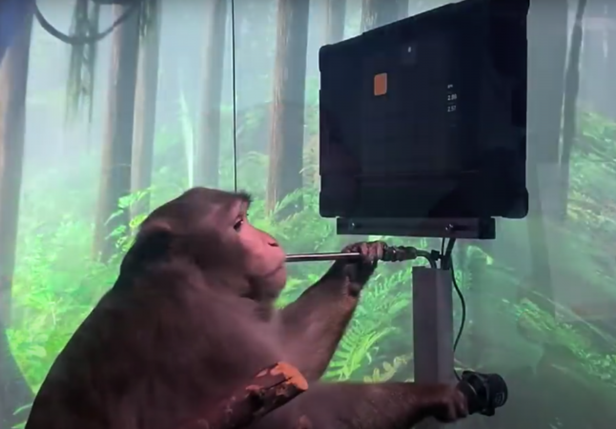 Кадр из видео