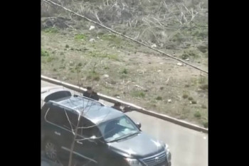 Фотография к новости: Мужчины на дорогом авто устроили стрельбу в Алматы