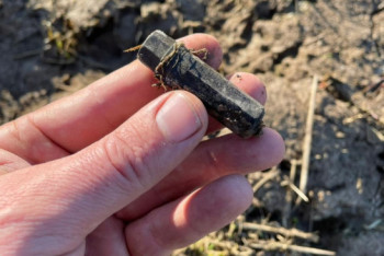 Фотография к новости: Солдатский медальон ушедшего на фронт из Акмолинска бойца найден под Ржевом