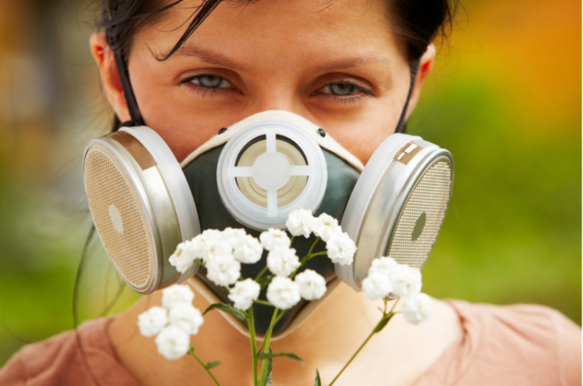 иллюстративное