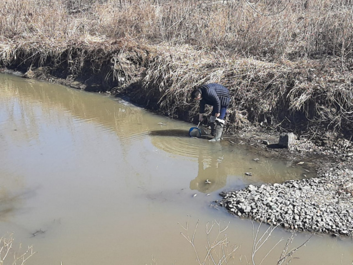 пресс-служба департамента экологии ВКО