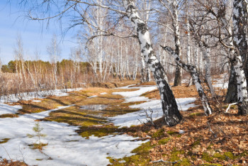 Фотография к новости: Какая погода ожидает казахстанцев 12 апреля