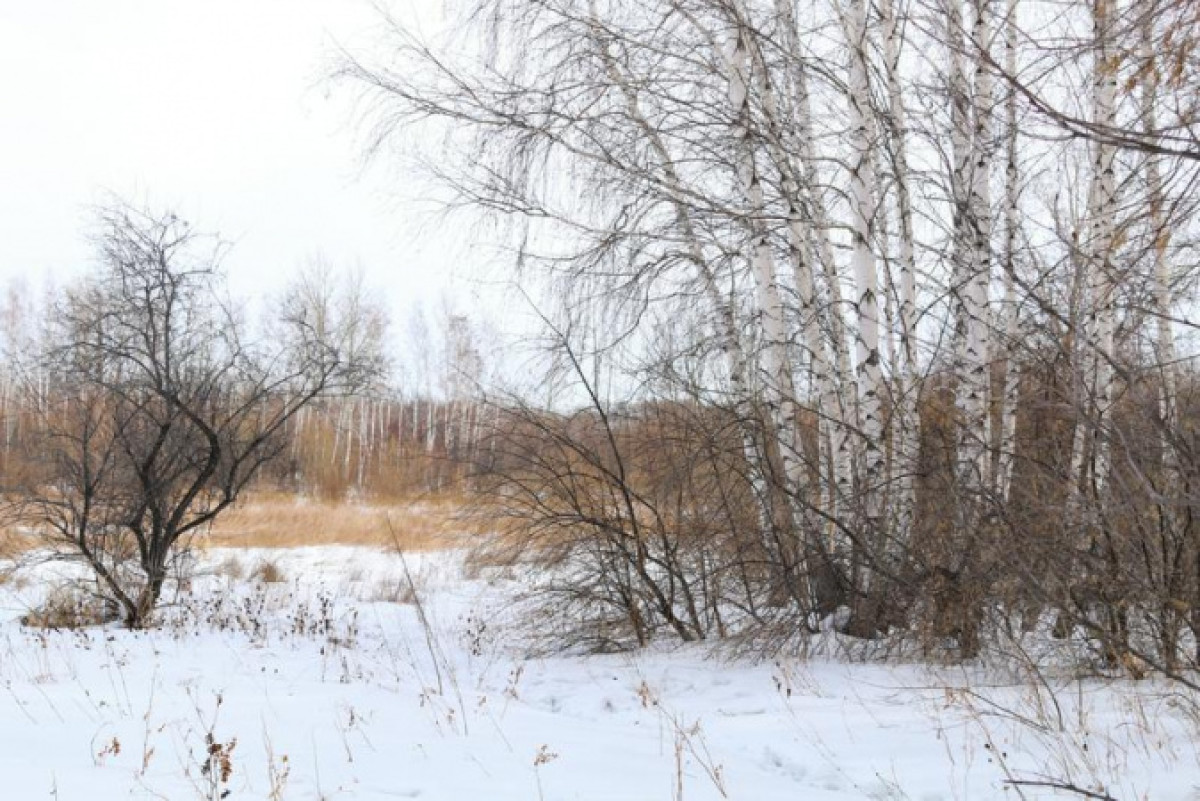 Погода без осадков ожидается на большей части Казахстана 13 апреля