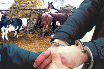 Фотография к новости: Пастухи распродали стада и заработали 174 миллиона