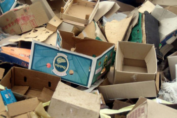 Фотография к новости: Десять миллиардов тенге направят на переработку мусора в Казахстане