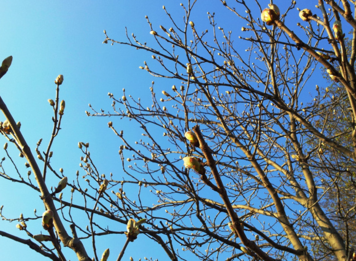 Какая погода ожидает казахстанцев 15 апреля