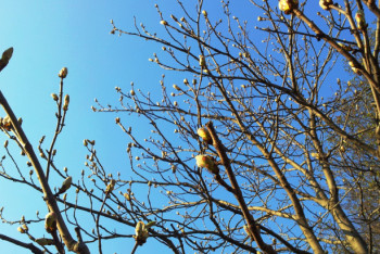 Фотография к новости: Какая погода ожидает казахстанцев 15 апреля