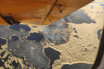 Фотография к новости: Два лесных пожара произошли в Алматинской области