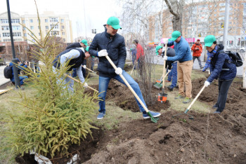Фотография к новости: "Заставляют чиновников покупать саженцы" - в акимате Нур-Султана прокомментировали переписку сотрудников