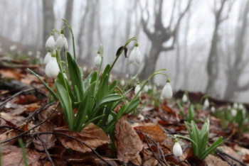 Фотография к новости: Какая погода ожидает казахстанцев 16 апреля