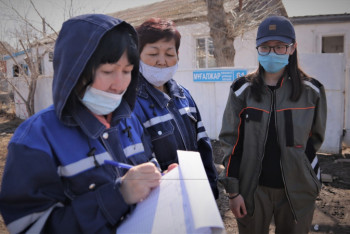 Фотография к новости: Мышей и крыс массово травят в Нур-Султане