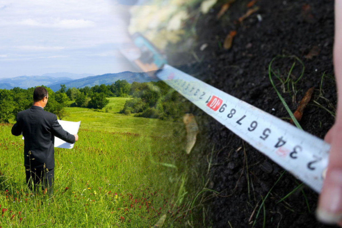 иллюстративное