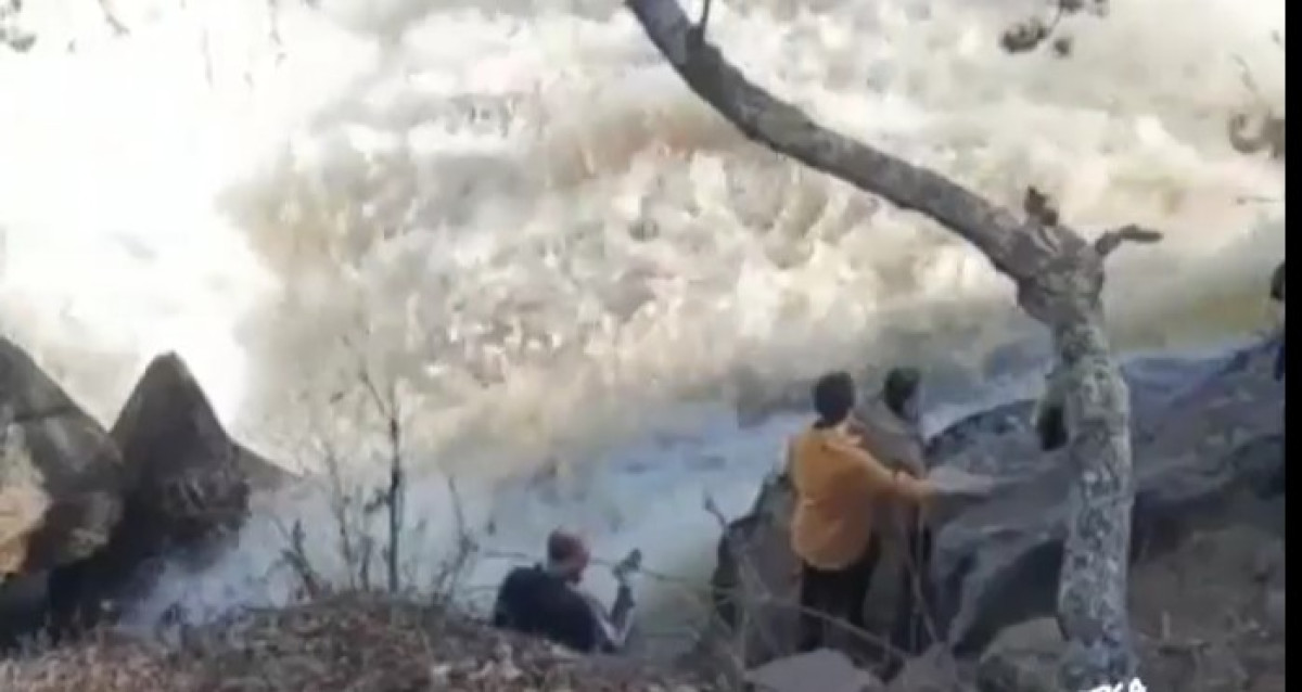 скриншот видео