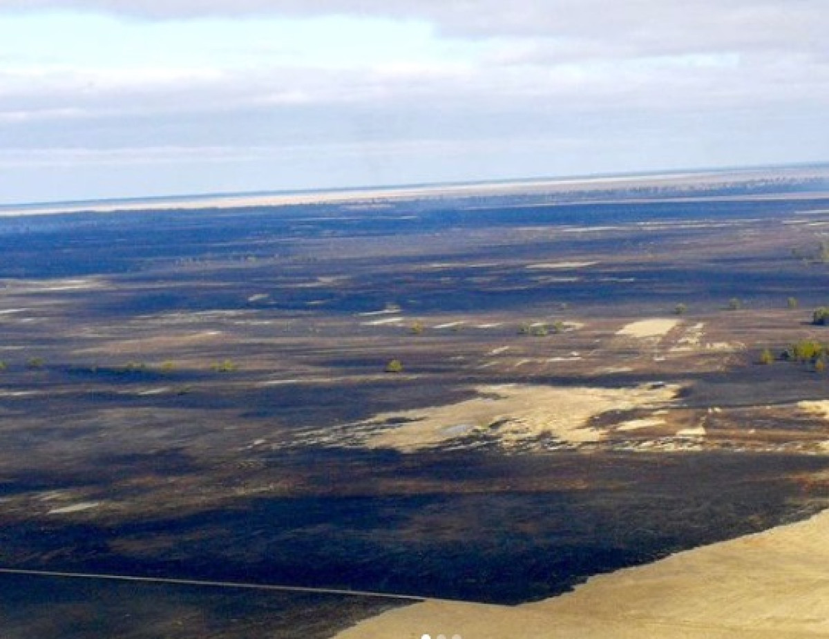 Локализован лесной пожар в Павлодарской области