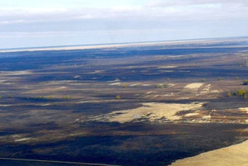 Фотография к новости: Локализован лесной пожар в Павлодарской области