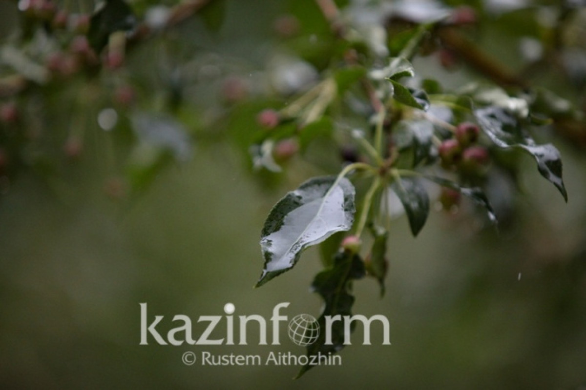 Иллюстративное: inform.kz.