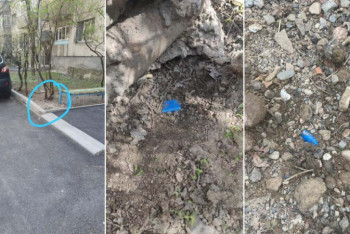 Фотография к новости: Полицейским удалось ликвидировать крупную наркосеть в Алматы