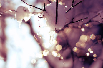 Фотография к новости: Какая погода ожидает казахстанцев 22 апреля