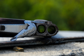 Фотография к новости: Россиянин через закрытую дверь подстрелил собственного сына