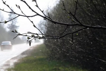 Фотография к новости: Синоптики предупредили о шторме в шести областях РК