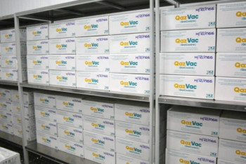 Фотография к новости: Минздрав РК заявил об отгрузке в регионы первой партии вакцины QAZVAC