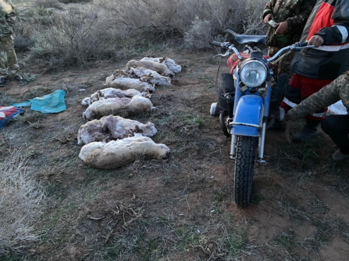 ДП Туркестанской области 