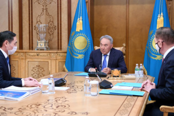 Фотография к новости: Елбасы принял заместителя председателя АНК