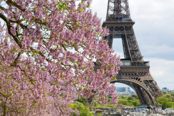 Фотография к новости: Франция запустила "паспорт здоровья" для путешествий внутри ЕС