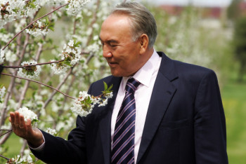 Фотография к новости: "Истинным богатством для всех нас стали мир и духовное согласие" − Елбасы