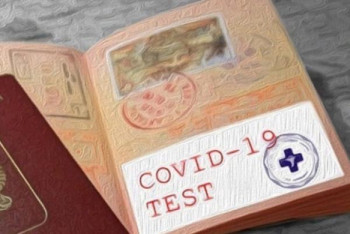 Фотография к новости: Создание ковид-паспорта поддержали страны G20