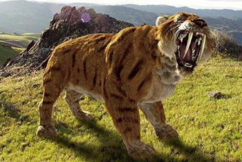 Фотография к новости: Обнаружен крупнейший в истории вид саблезубых кошек