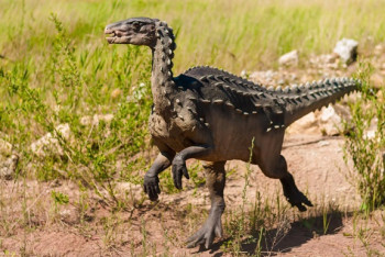 Фотография к новости: Останки динозавра неизвестного вида найдены в Китае