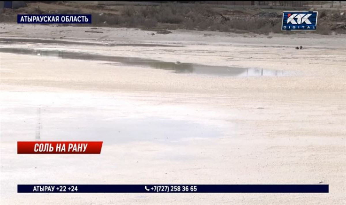 кадр из видео 