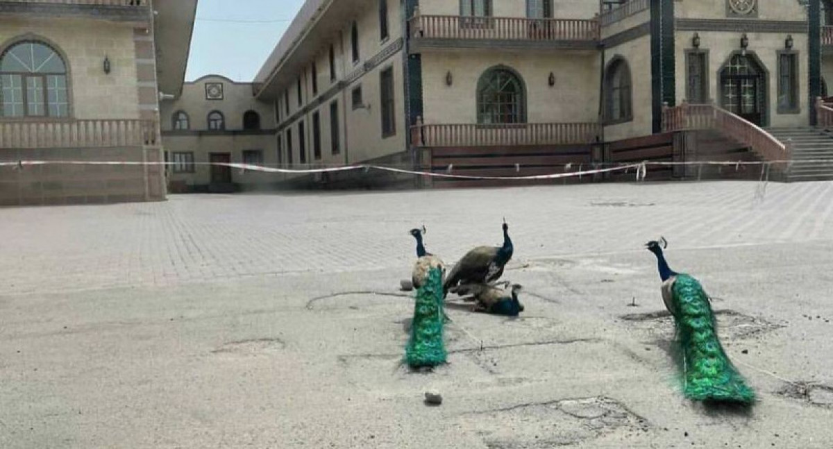 instagram/@kris.p.almaty.official