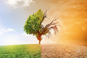 Фотография к новости: Температура Земли в 2020 году стала самой высокой за три миллиона лет