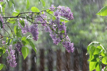 Фотография к новости: Какая погода ожидает казахстанцев 8 мая