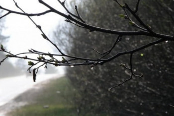 Фотография к новости: Дождь и ветер прогнозируют в нескольких регионах РК