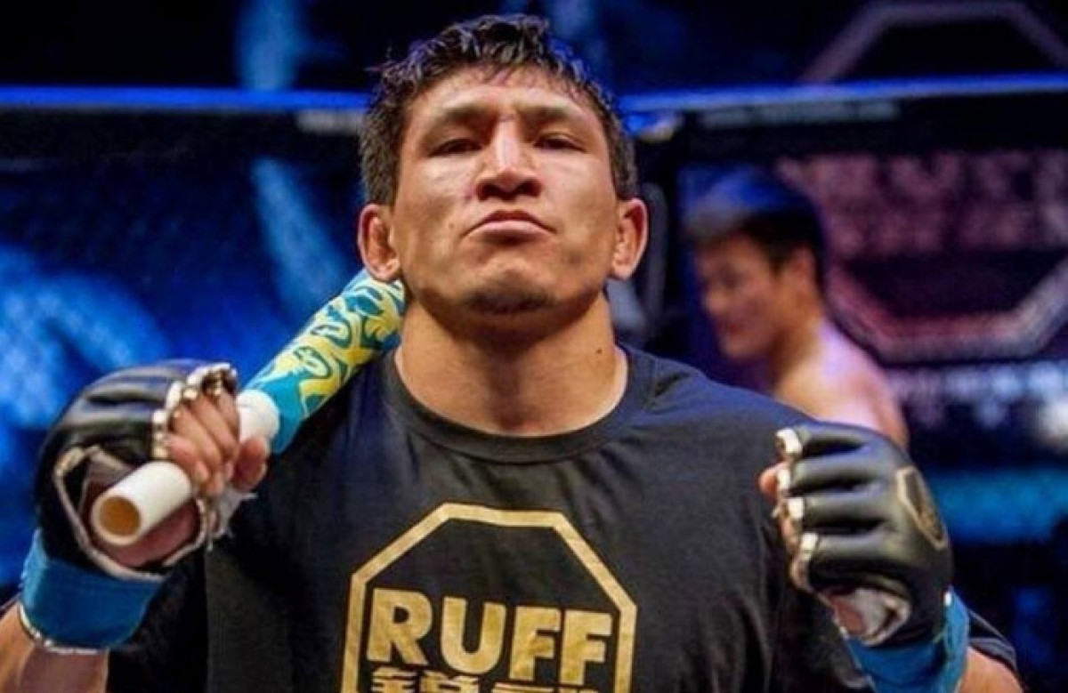 из открытых источников