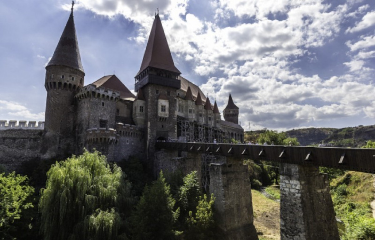 из открытых источников