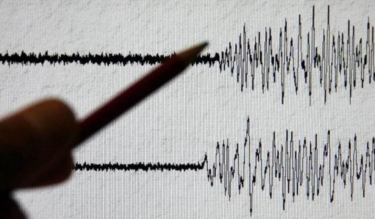 иллюстративное