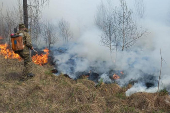 Фотография к новости: Лесной пожар в Риддере продолжают тушить около 500 человек