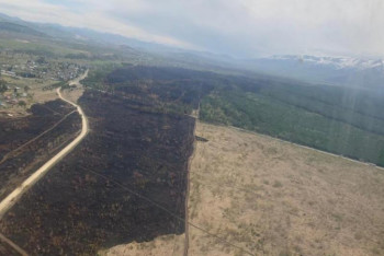 Фотография к новости: Лесной пожар в Риддере ликвидирован