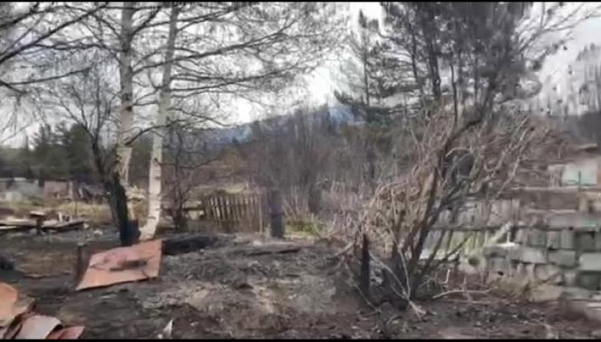 "Будут полностью все спиливать" - местный житель о последствиях лесного пожара в Риддере