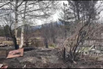 Фотография к новости: "Будут полностью все спиливать" - местный житель о последствиях лесного пожара в Риддере